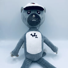 Load image into Gallery viewer, WinzoRaps Plush Cat Toy Front Profile